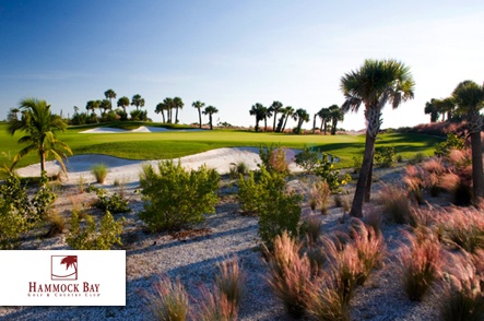 Marco Island Marriott Golf Resort Photo