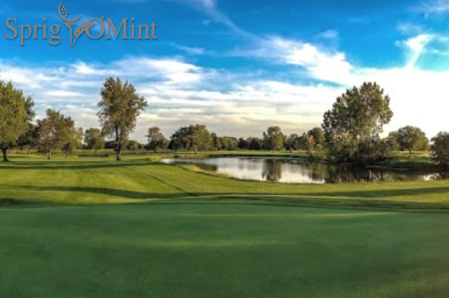 Sprig O'Mint Golf Club GroupGolfer Featured Image