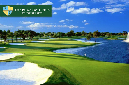 The Palms Golf Club at Forest Lakes GroupGolfer Featured Image