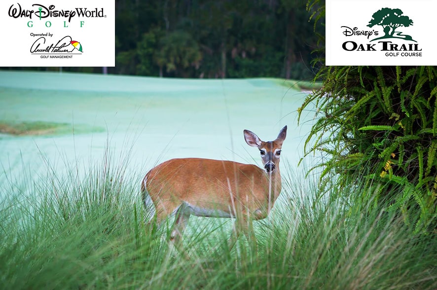 <b>Walt Disney World®</b> Golf Photo