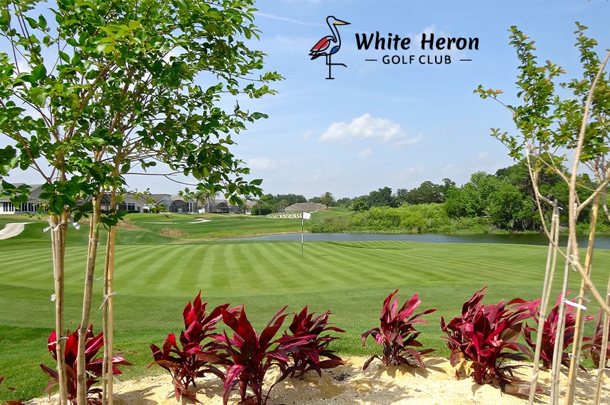 White Heron Golf Club Photo