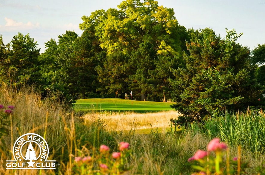 18 Holes with Cart
