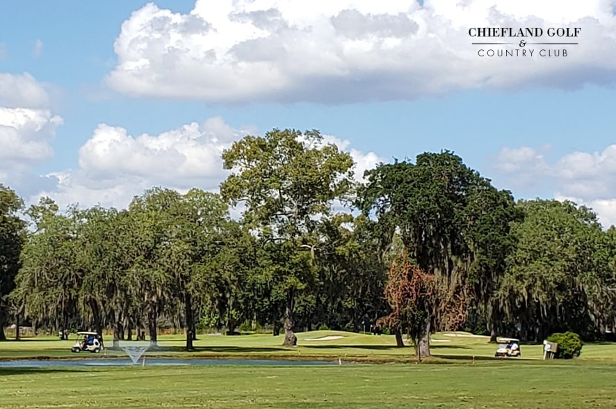 18 Holes with Cart, Range Balls and 2-for-1 Draft Beers or Fountain Drinks
