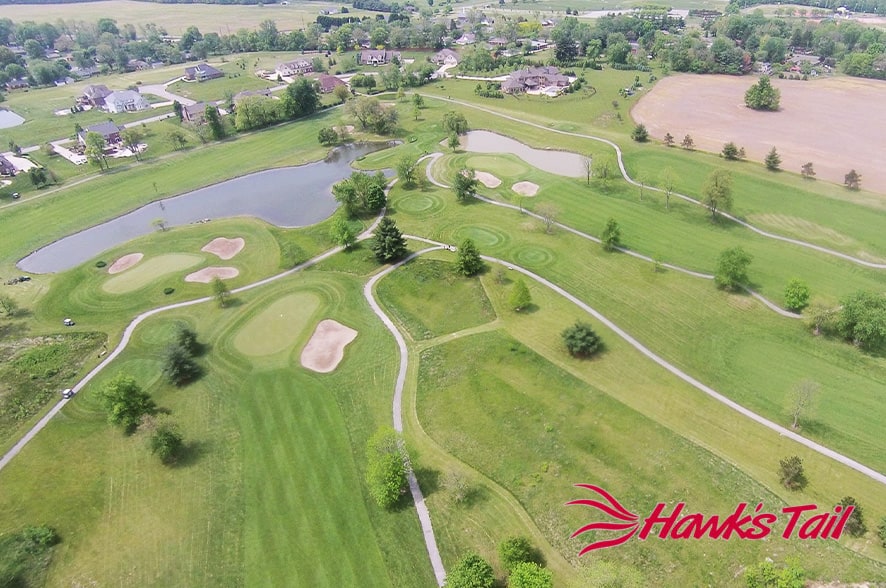 Hawk’s Tail of Greenfield Photo