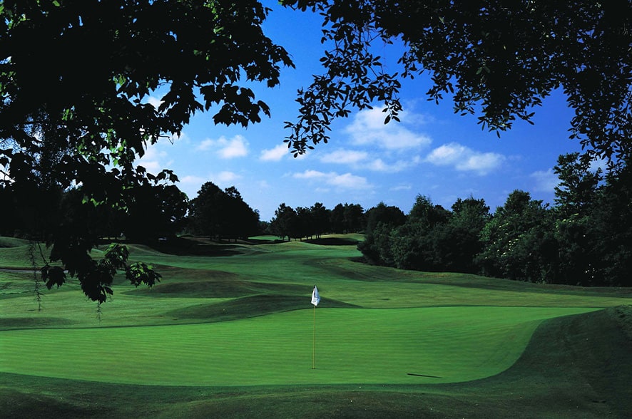 TPC Tampa Bay Photo