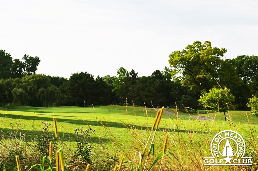 Taylor Meadows Golf Club Photo
